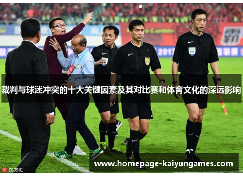 裁判与球迷冲突的十大关键因素及其对比赛和体育文化的深远影响