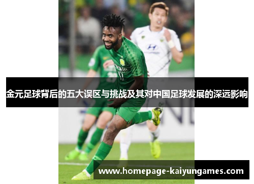 金元足球背后的五大误区与挑战及其对中国足球发展的深远影响