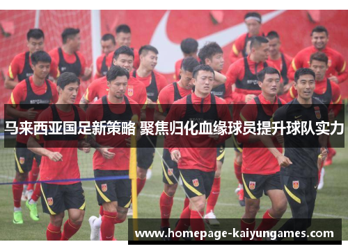 马来西亚国足新策略 聚焦归化血缘球员提升球队实力
