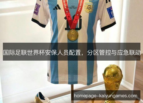 国际足联世界杯安保人员配置，分区管控与应急联动